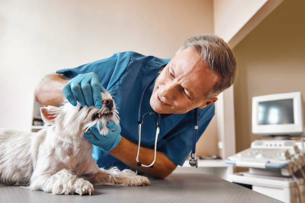 Best Emergency Dental Clinic in NE